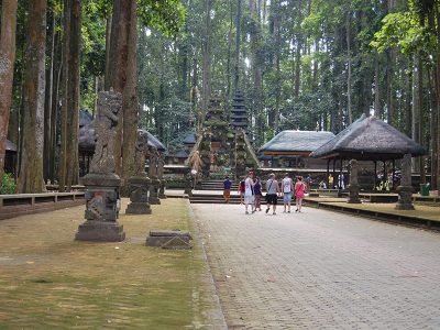 sangeh bali car rental with driver