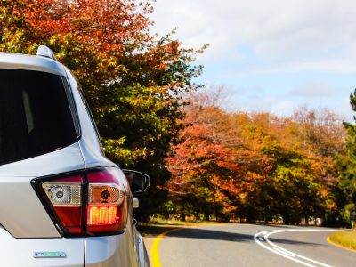 Self Drive Car Rental In Bali Bali private driver