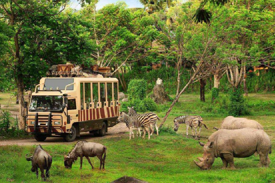 Bali Safari and Marine Park