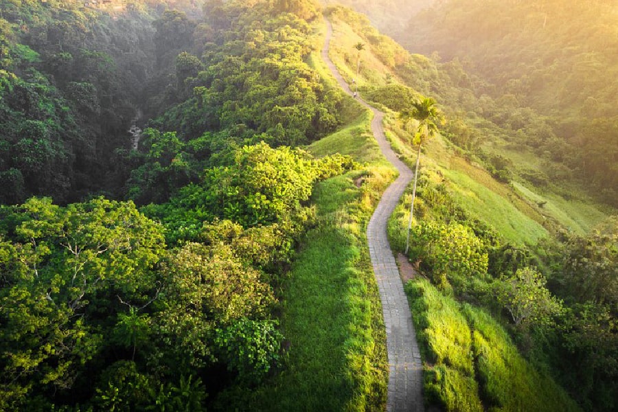 Campuhan Ridge Walk