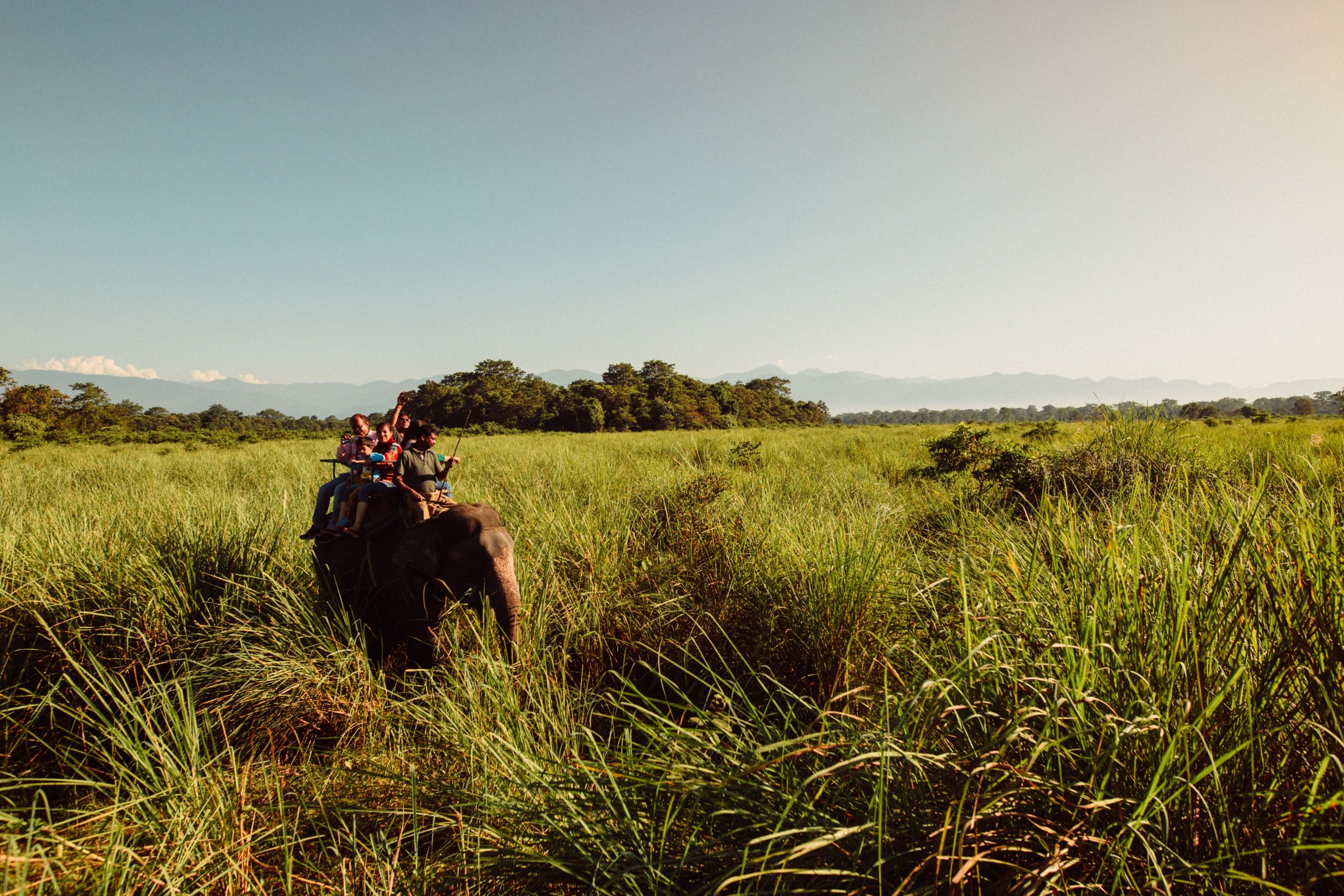 elephant ridding in Bali