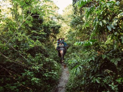 ride an elephant in Bali Bali car rental with driver
