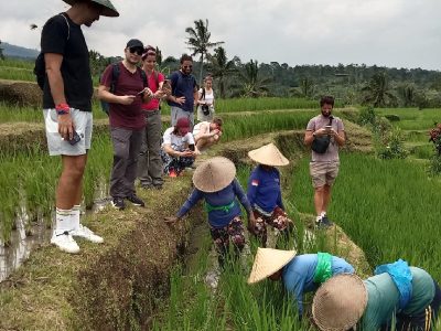 cheap trips to Bali cheap trips to Bali