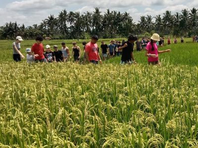 Bali travel packages Bali travel packages