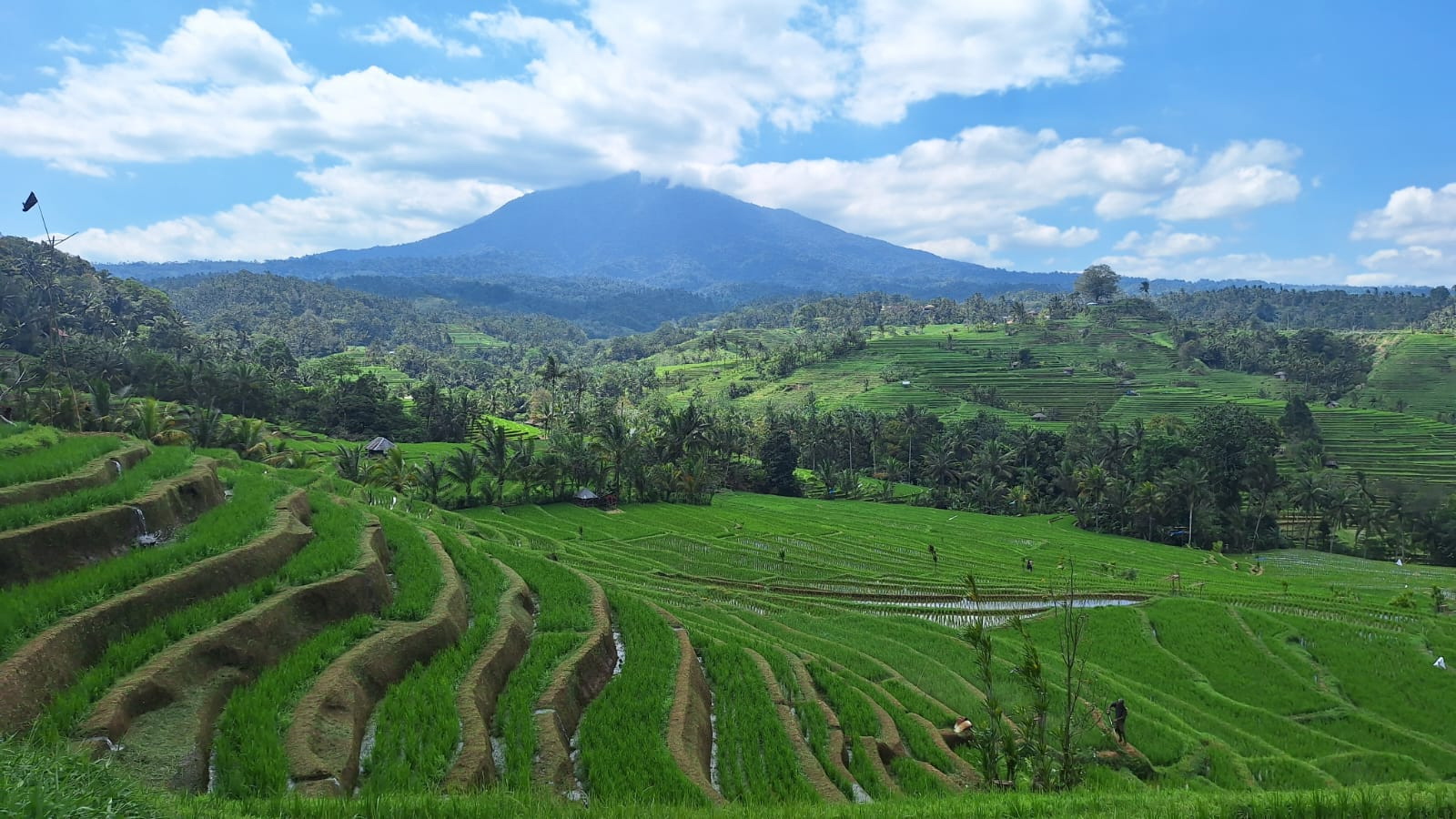 Bali tour Bali car rental with driver